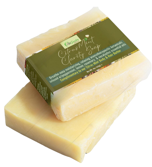 Soapy Duo (Citrus Mint/Charcoal)